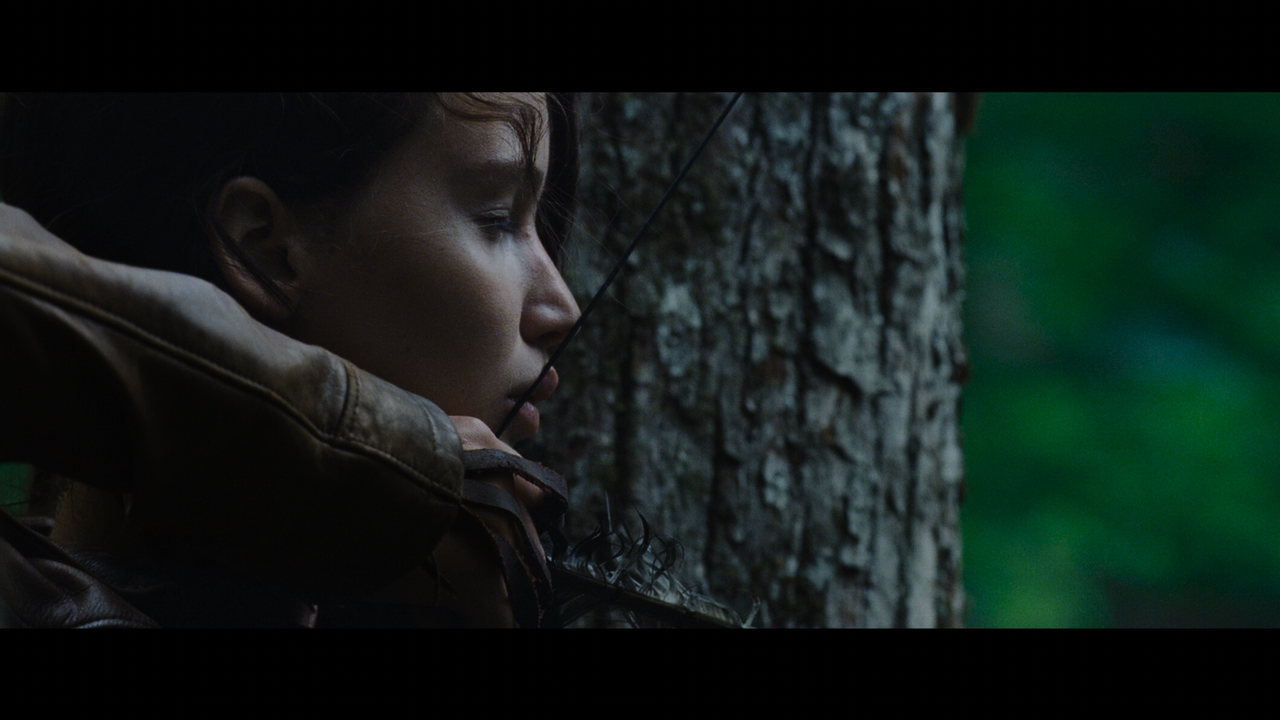 The.Hunger.Games.2012.2160p.UHD.BDRemux.TrueHD.Atmos.7.1.HYBRID.DoVi.mkv_000419.654