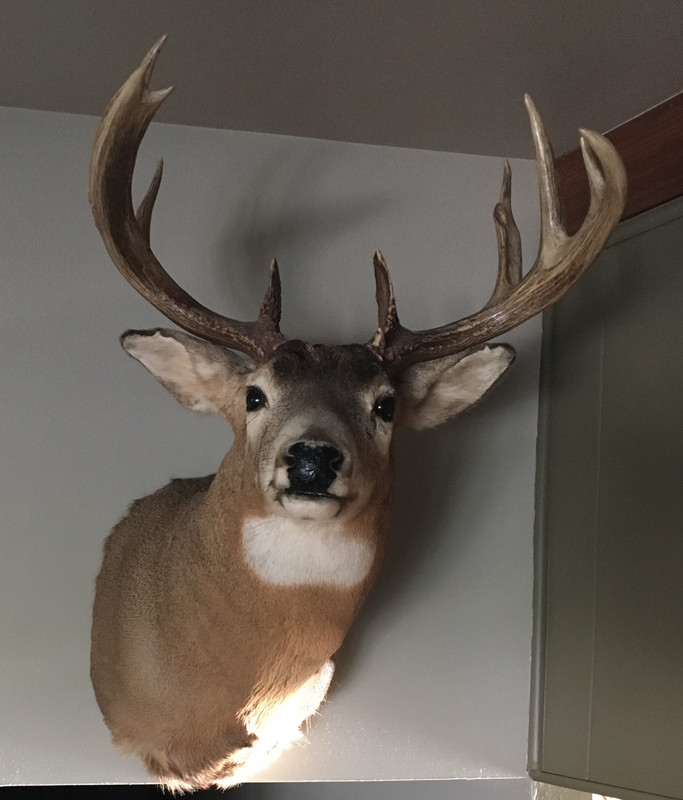 6A80B495-E5ED-4735-BE78-62DDAF7BB402