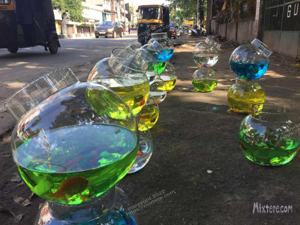 BBG&B14GuwahatiGatewayToTheNortheast - 6