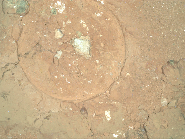 Mars-Felsen mit grünen Flecken