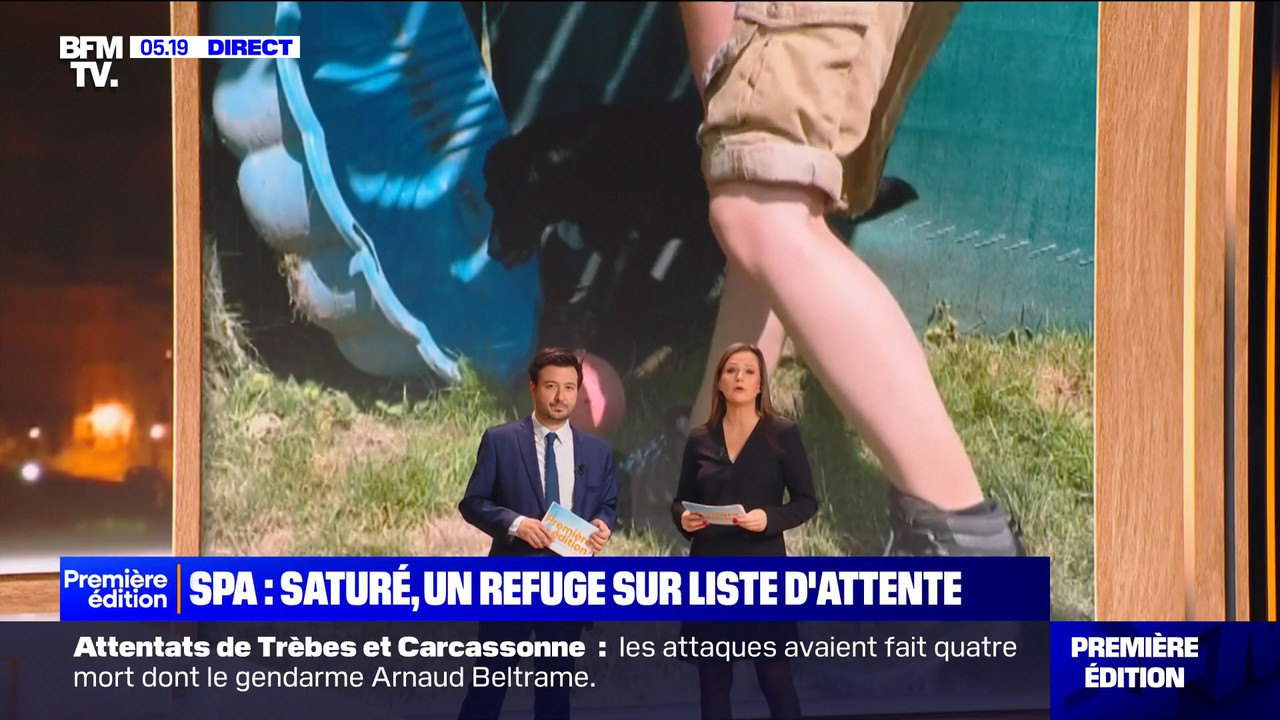 BFMTV 220124.mp4_snapshot_00.54.19.838