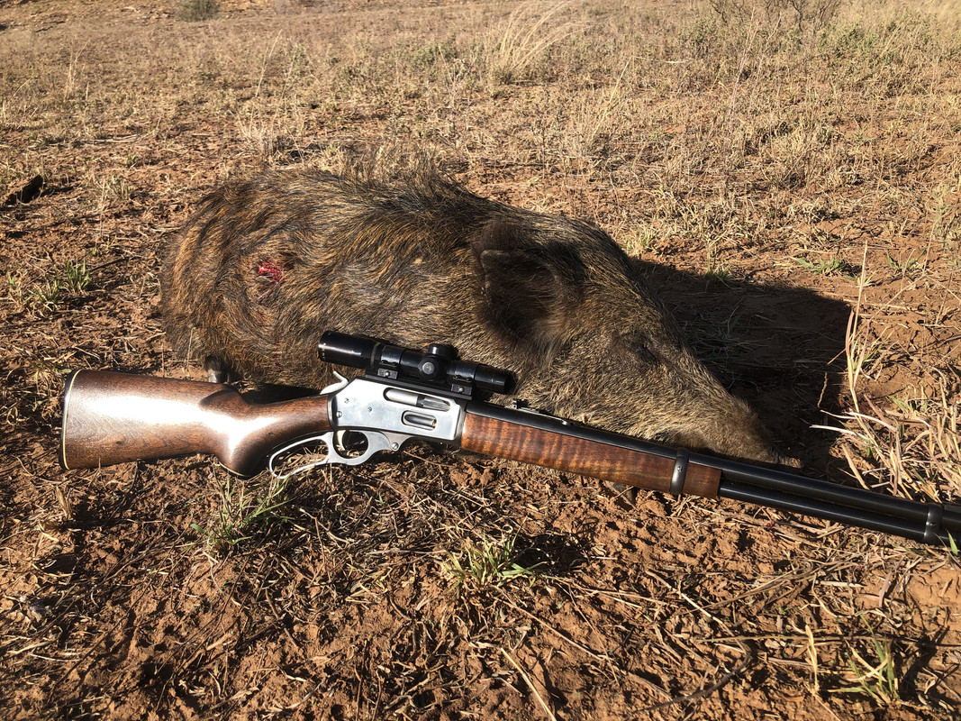 112F21C0-9F8B-4BC0-8996-914FEAA42CE0