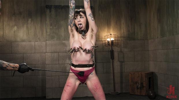 DeviceBondage – Bianka Strange – Bondage, Torment, and Tears