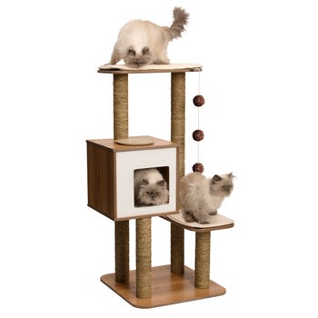 cattree.jpg