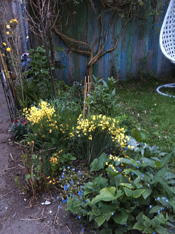 67EFE5BC-97A6-4A89-B9CD-BCEE4372F94A