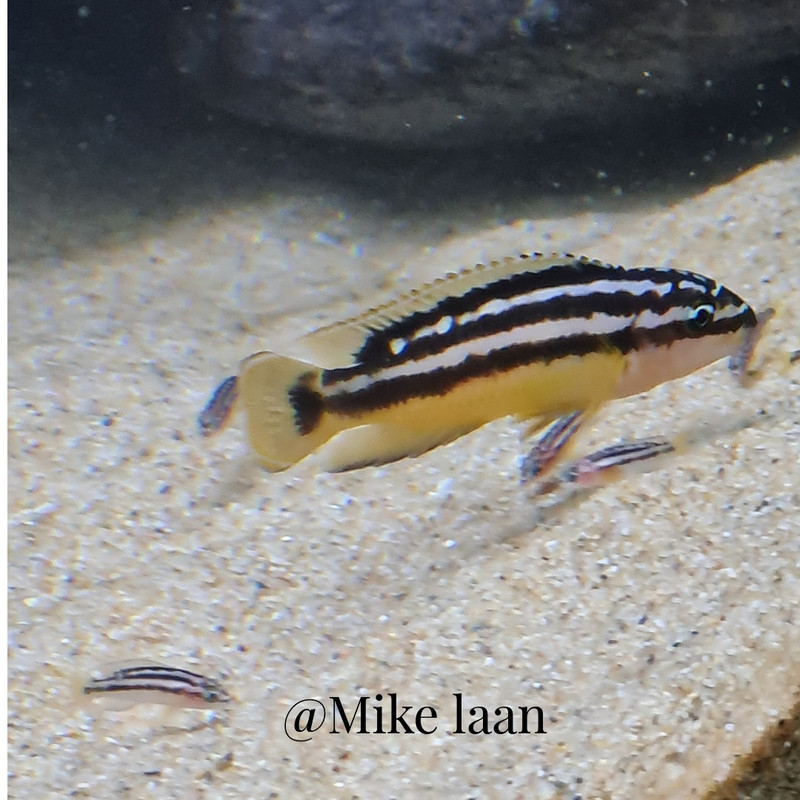 IMG_20220921_204417_342