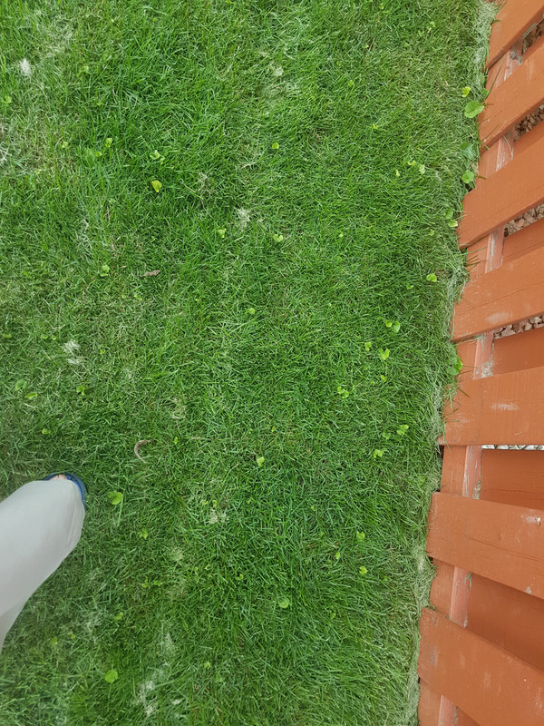 20190730_184312