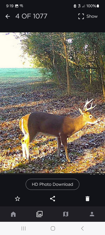 Screenshot_20250103_091904