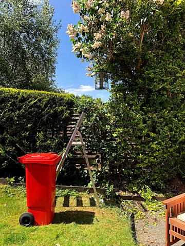 Garden-Red-bin-HD.jpg