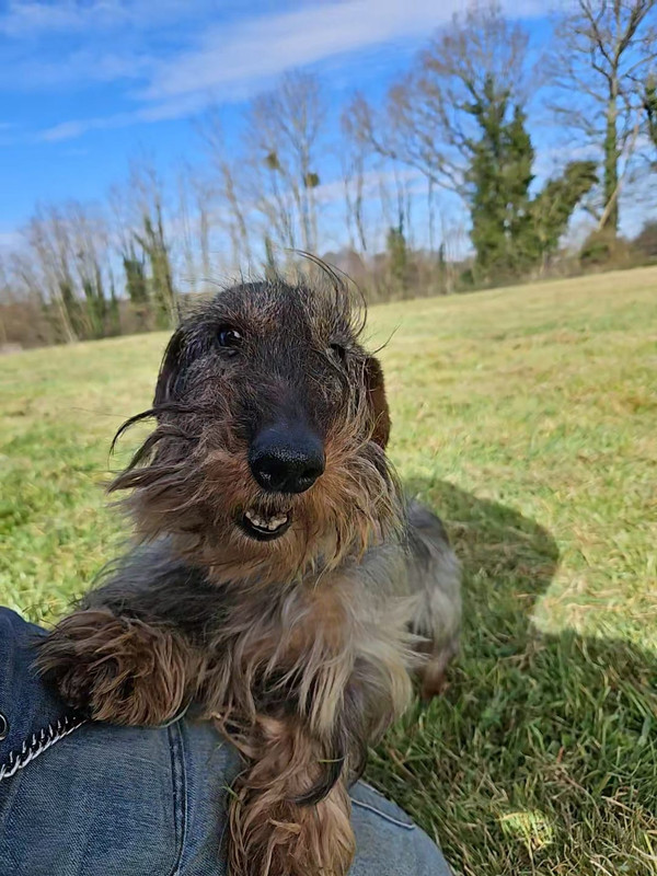 [Image: IMG-20250319-WA0005.jpg]