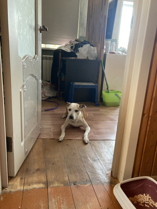 4B1C936D-0A7B-4ECC-807F-F49A0B2B9EC8