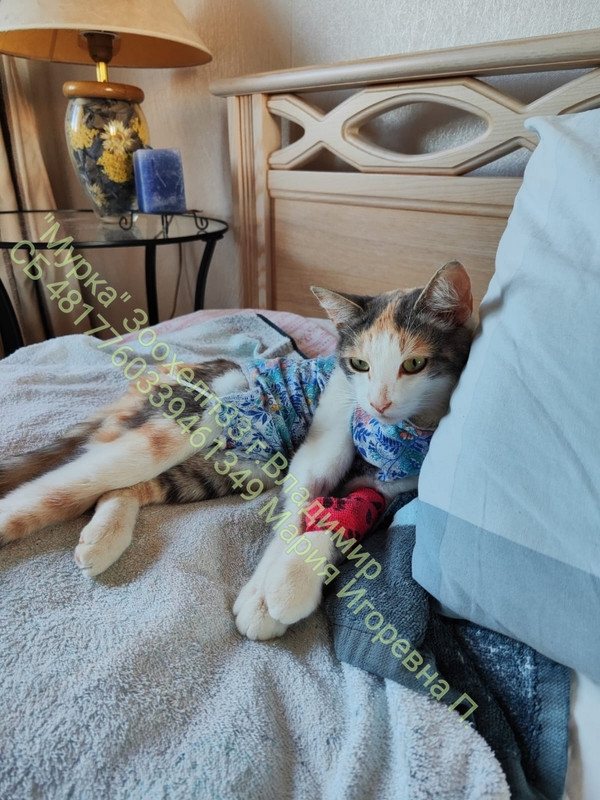 5AWYLreleavDj3TDlBIM2JGw2sqwypkNWFurPW9R4_NR9YsMFupnSGWw8yzQh8wsJTL3snBGzesfn7s85nbmEDMm