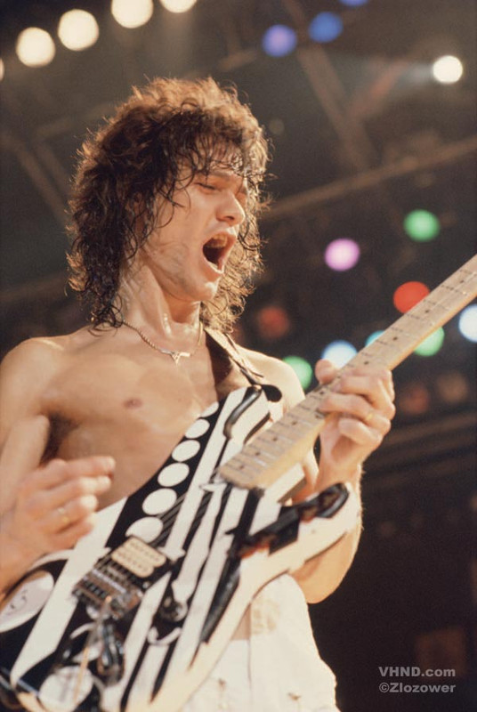 EVH_Circles_guitar_3.jpg