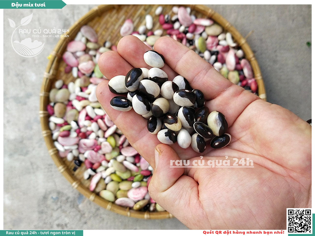 Đậu Mix Tươi 7
