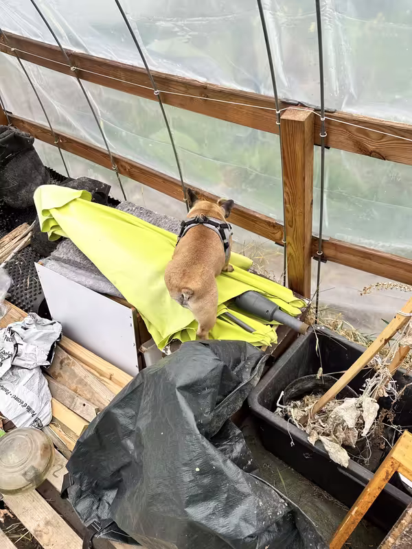 DF67AB58-4323-4029-863E-8ACB96E0CCE7