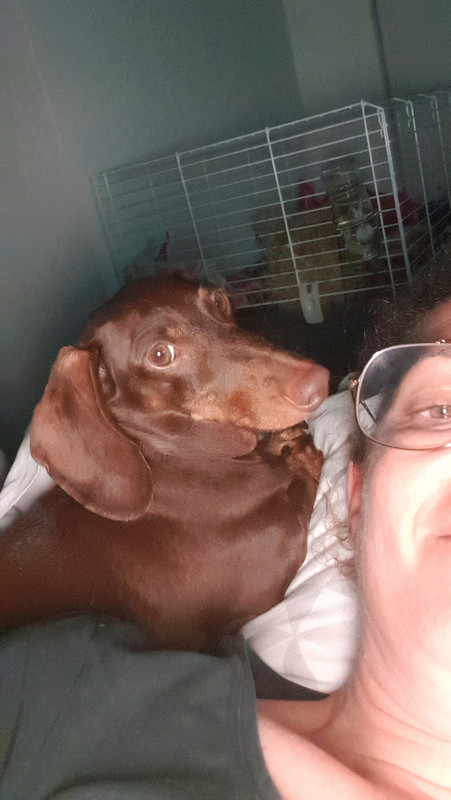 [Image: 15975225013086125676024201920427.jpg]