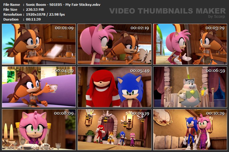 Sonic Boom S01E05 My Fair Sticksy mkv