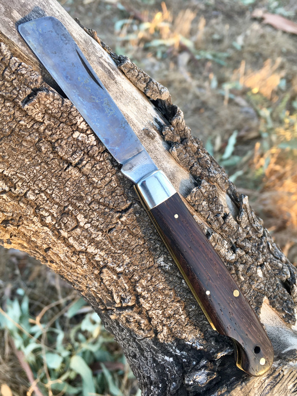 FD6A378B-8FF8-482D-9747-2D1C69355A5A