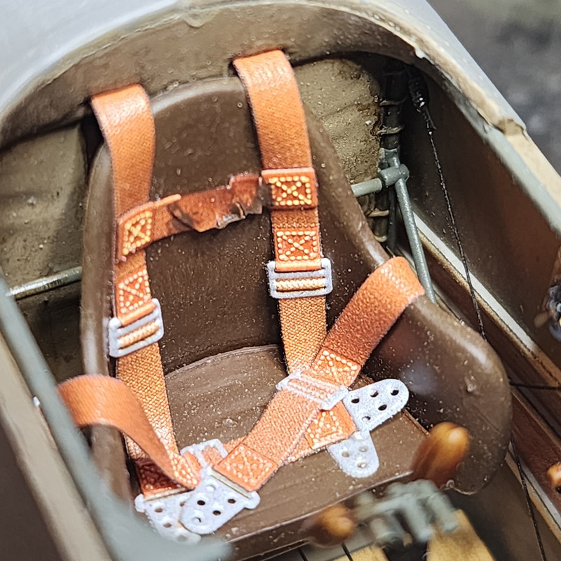 486150007_24338836725716525_813871556972217273_n