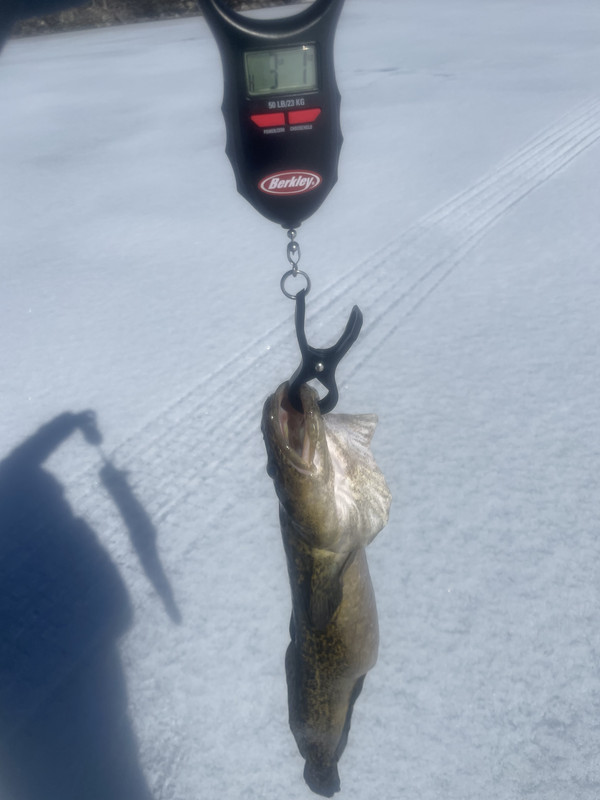 9AEC6E56-BA85-496A-87C8-D570D9C63E23