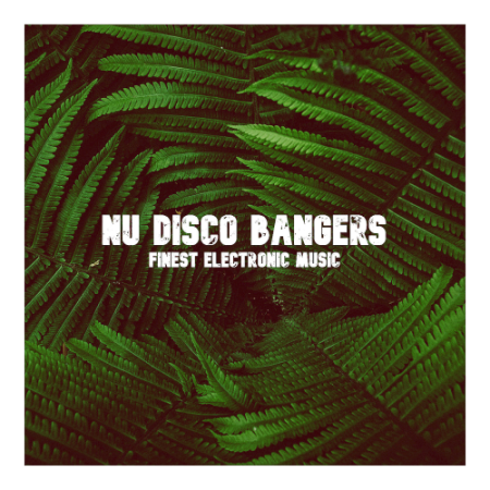 Various Artists   Nu Disco Banger (2020)