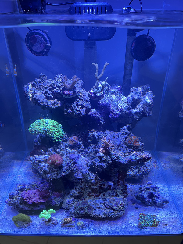 845BDC20-13F2-4859-8526-98DBEBEF6495