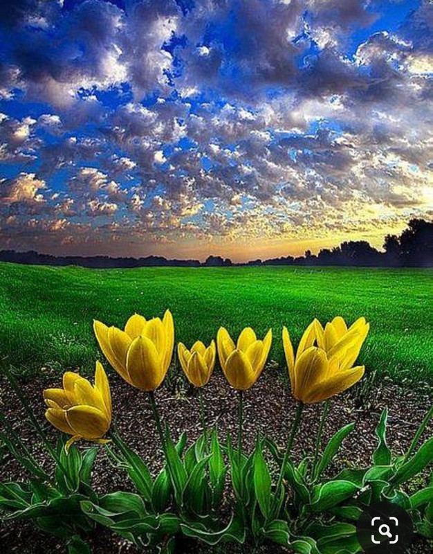 Screenshot_20231104_214443_Pinterest