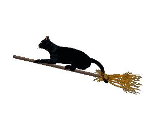 catbroomtg-gift1220752795-vi
