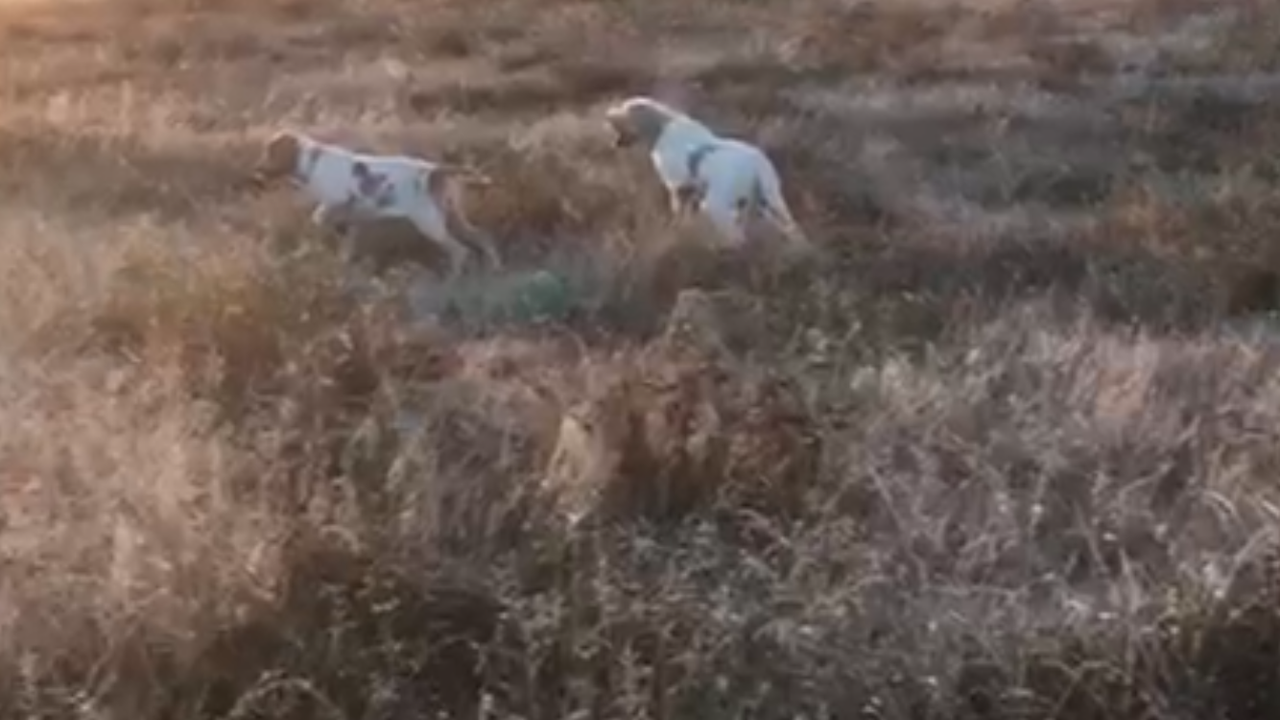 B8D910CB-76F2-4A19-8755-3EEE5F6350A4