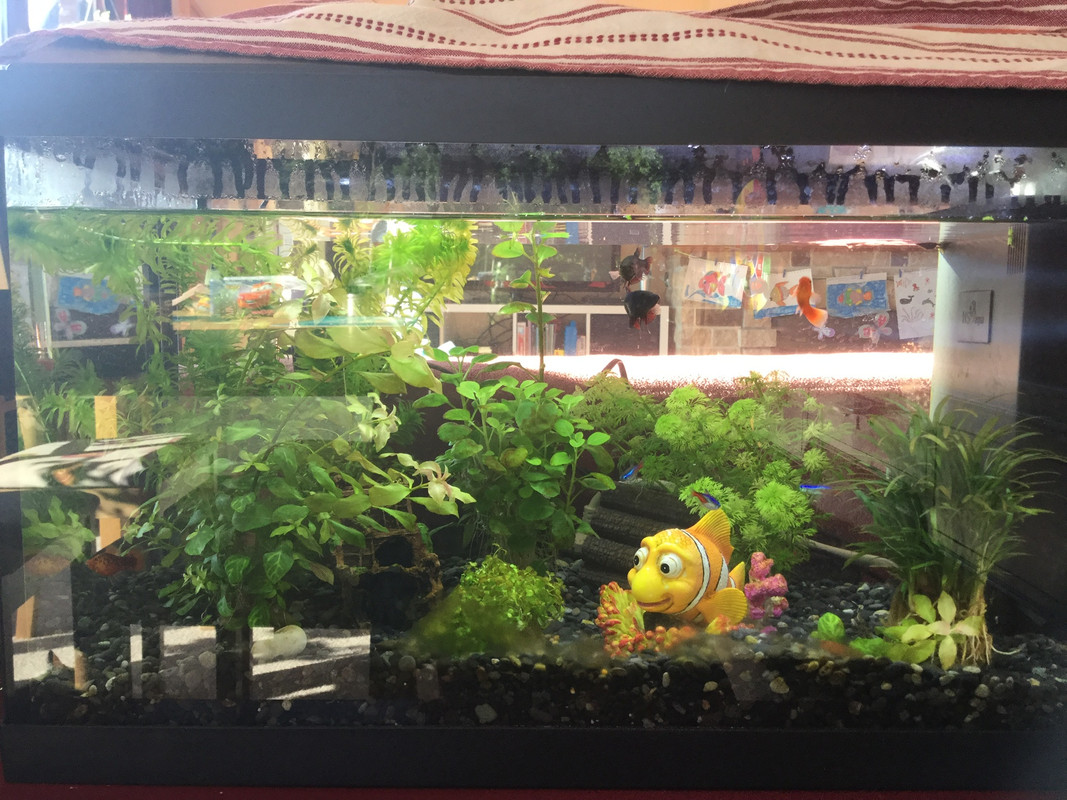 D193A3FC-886C-499F-9B84-3D8D82E9EB38