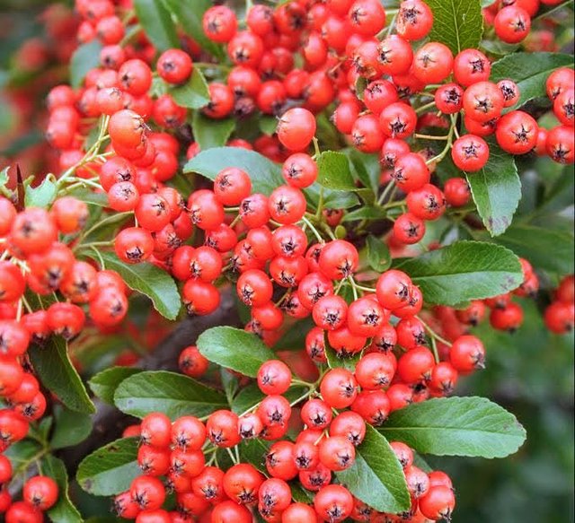 [Image: shutterstock-495587389-e1640109036806-1.jpg]