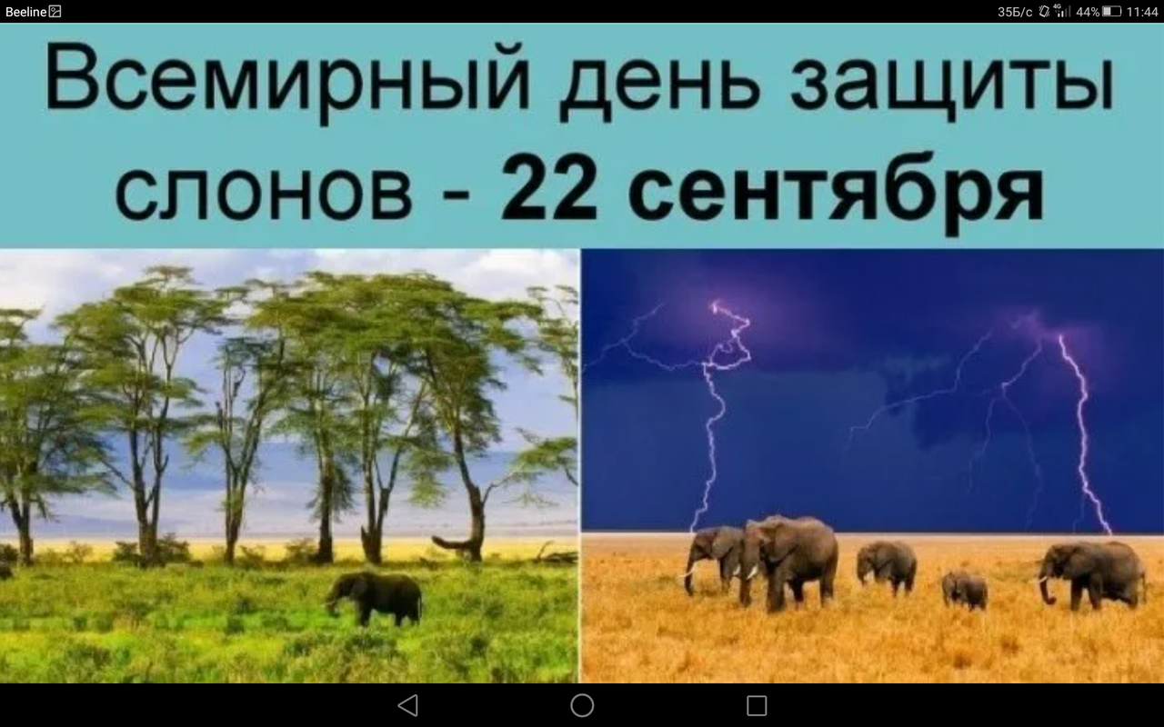 Screenshot_2023-09-22-11-44-10