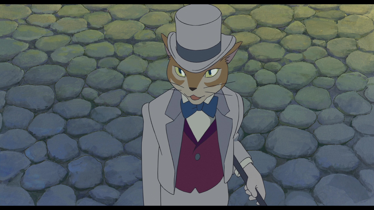 vlcsnap-2025-01-25-16h28m32s805