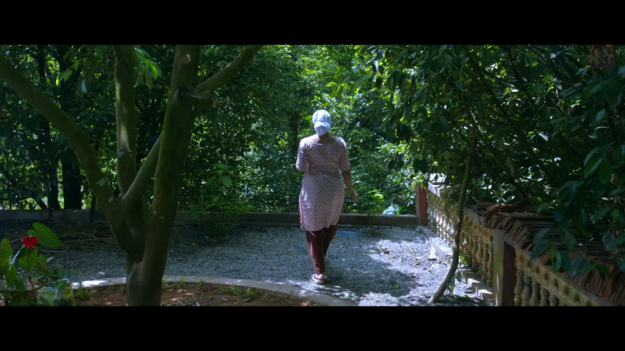 vlcsnap 2026 02 11 15h45m14s845