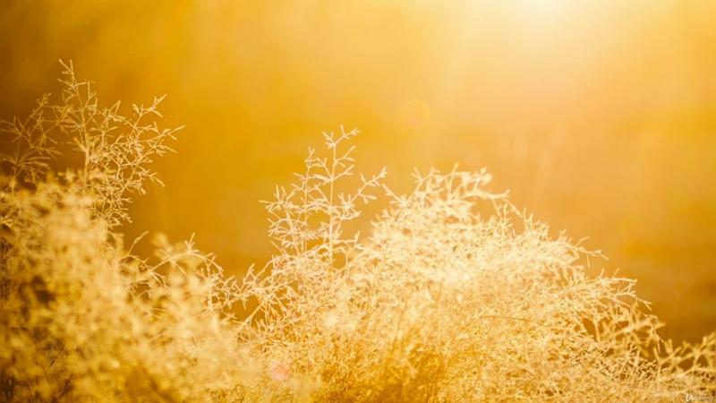 [Image: G-PAyurveda-for-Mindful-Living-Food-for-...tation.jpg]