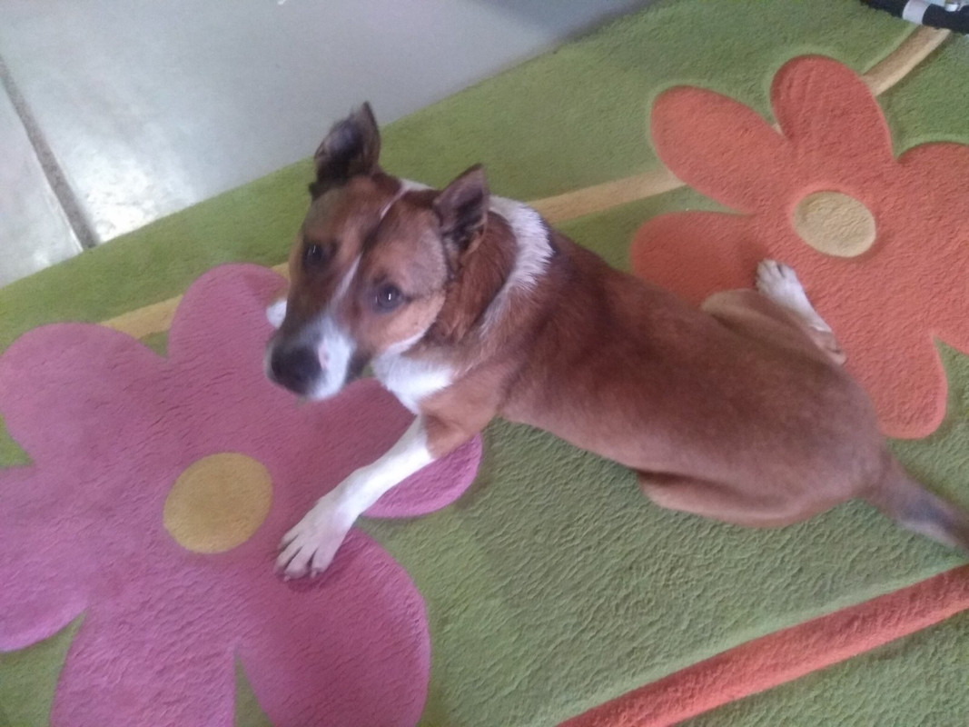 1C42A376-1077-4213-821D-FB10BDFE5D2B