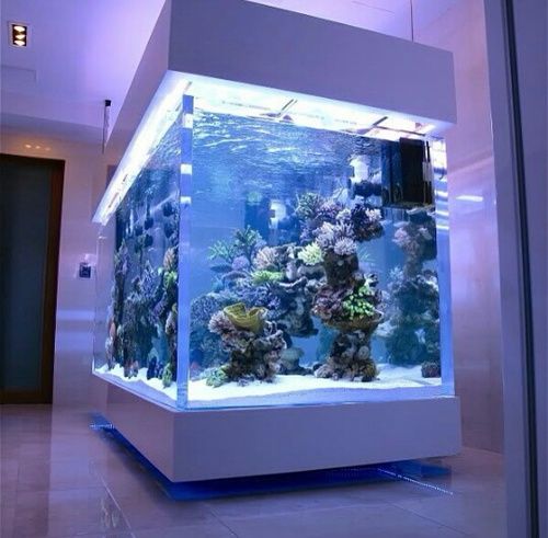 f50e846017524fac881a8af732399522