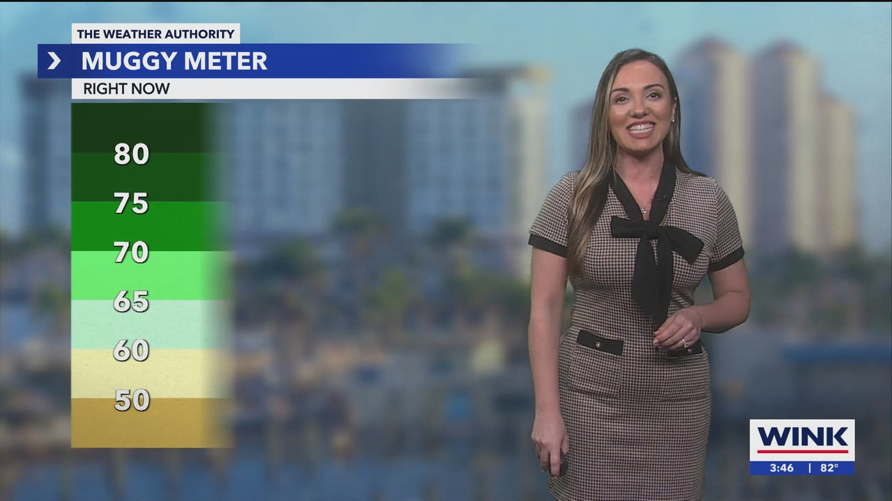 09.23 - 20.00.00 - WINK News at 3pm  ᴺᵉʷ. Stay informed with the late....ts_snapshot_00.46.57.494