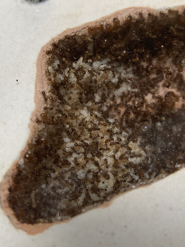 85BA7B7F-CBE9-403D-9EF1-981CF5802092