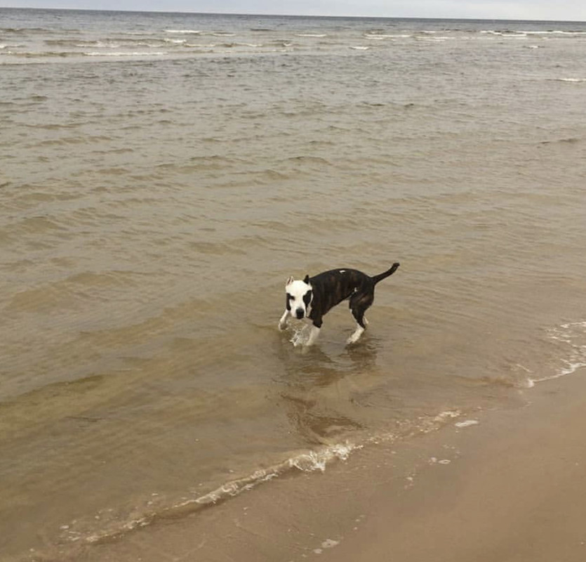 6322CABE-8878-4879-B87F-6019B8310CDC