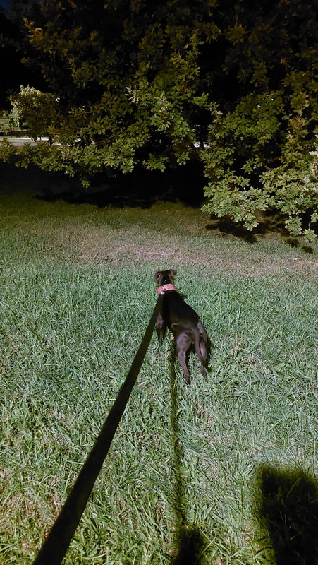 066CD643-75B0-4D3D-A568-BCD829205D37