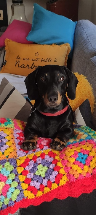 [Image: image000000-211.jpg]