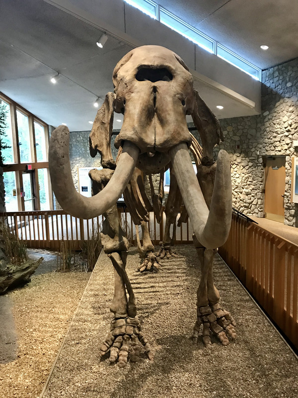 DD05748B-D3FF-4AFE-84E7-F0E307FD6C4B