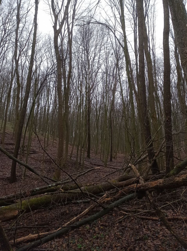 4888B275-24F5-447A-8BE4-C9654924BC57