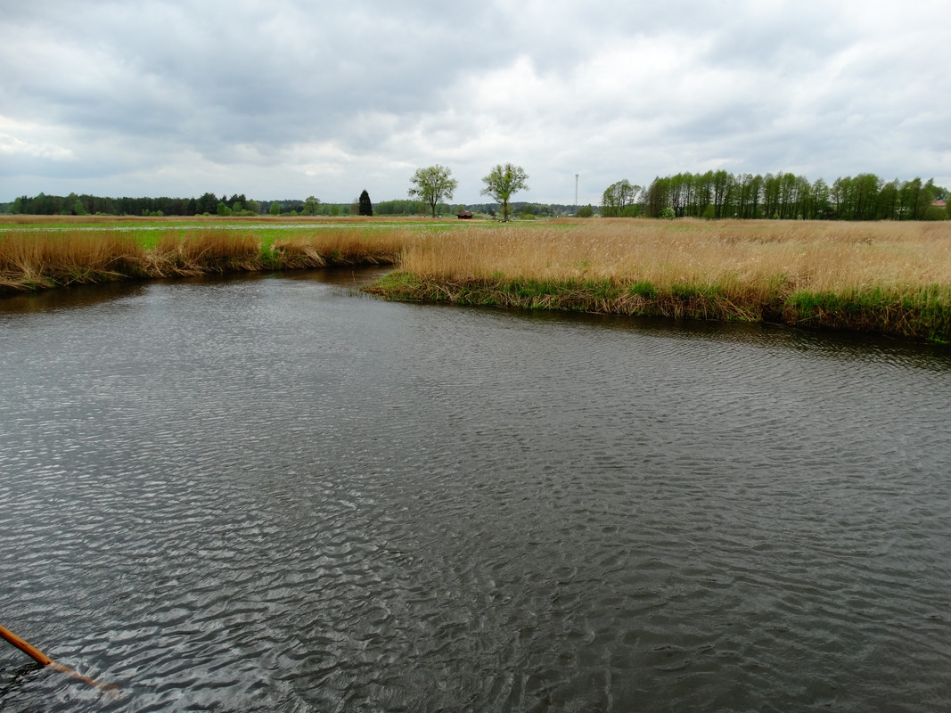 05.29 - DSC09335 (Czesio1)