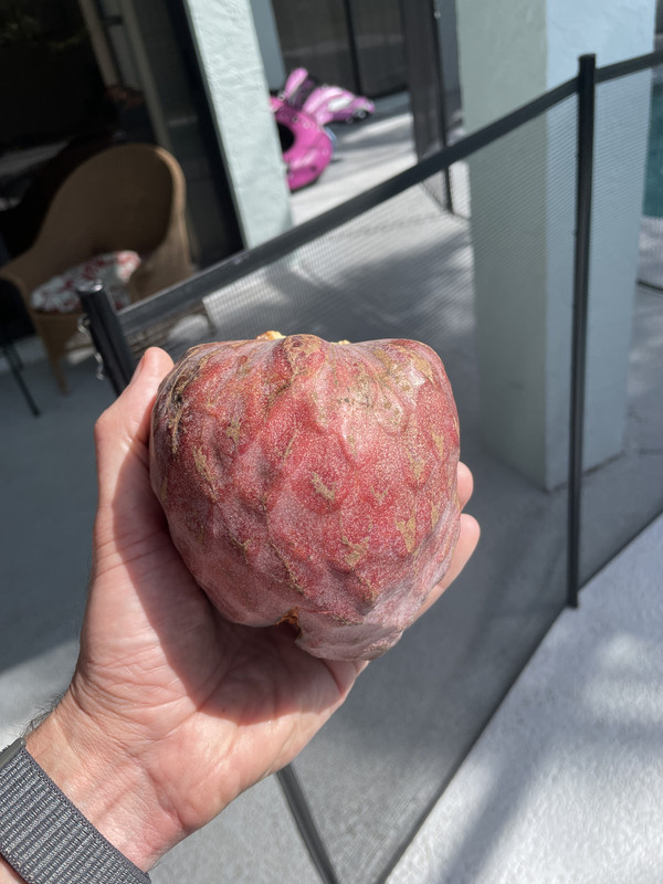 8005649B-4A10-4D09-AF34-94359307A05A