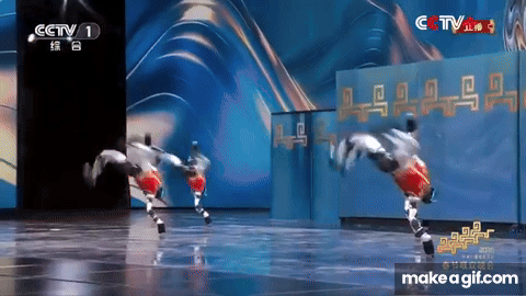 Kung-Fu-Robot-DGOq-QI