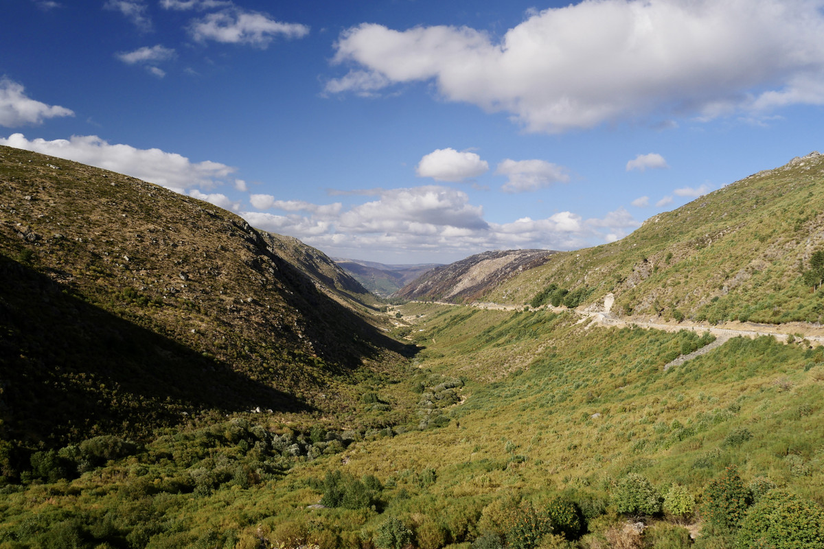 8C4B318B-9EE5-4247-90C3-BBC1591FC1AD