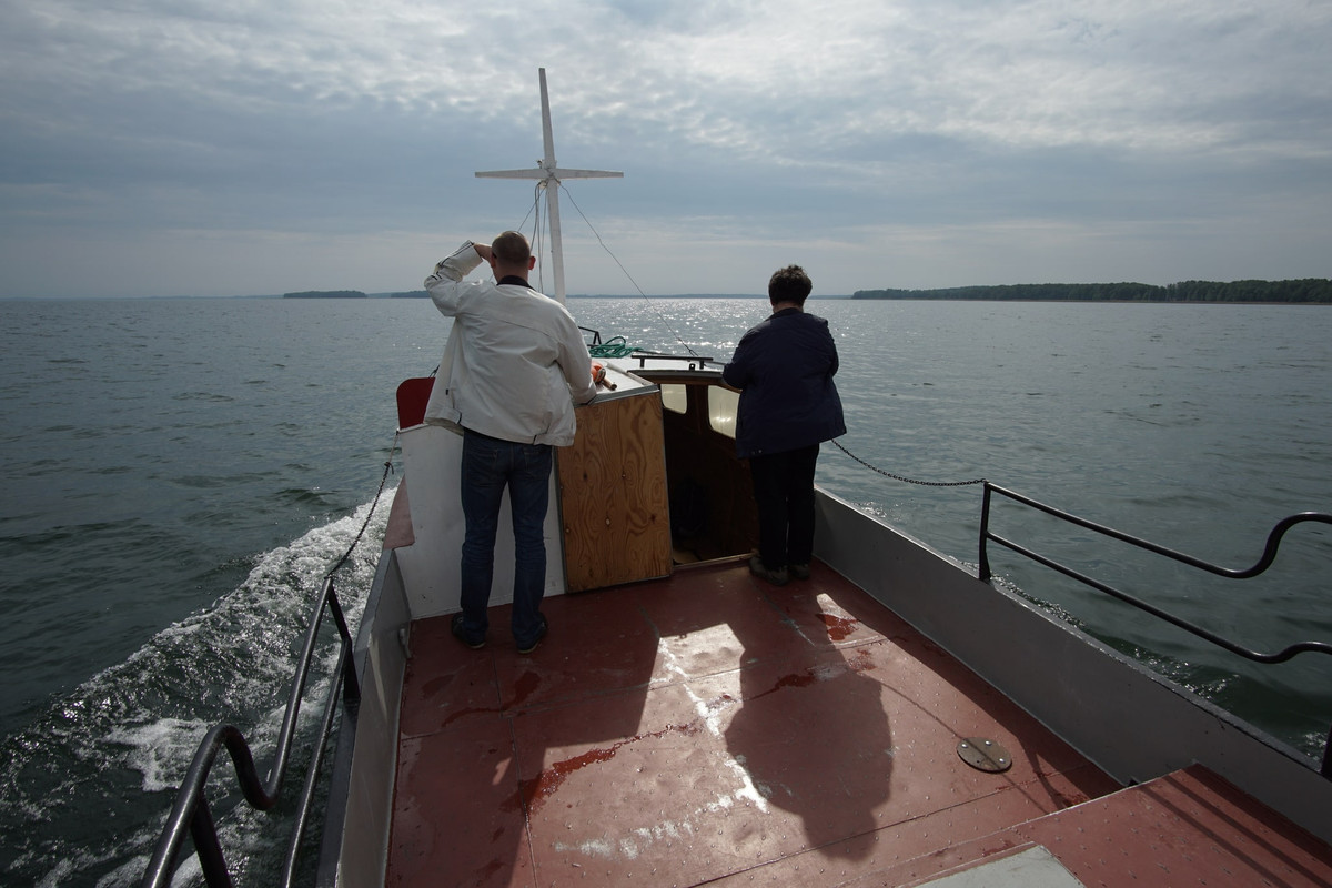 16 - DSC00671 (zbychowiec)