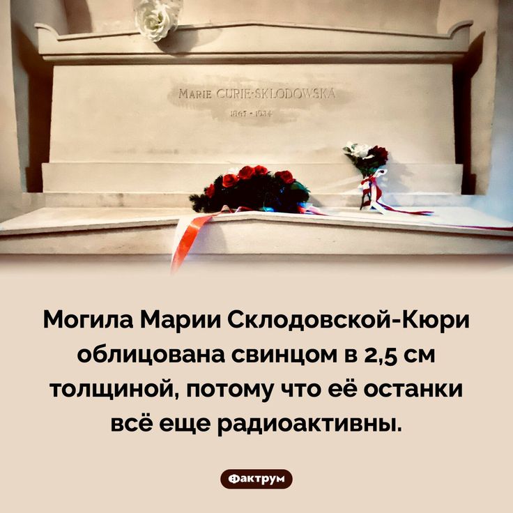 [Изображение: d2e78312146113dbf2025c03330a98ea.jpg]